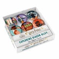 Harry Potter: Exploring Diagon Alley Glass Magnet Set by Insight Editions - Hard