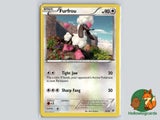 Furfrou 33/39 - XY Trainer Kit-Noivern - XY - MidEra