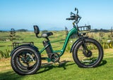 ELECTRIC E-TRIKE SP500 CARGO