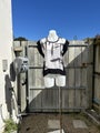 Size 8 - part silk "Ribbon on a Bombshell" top in nice condition!
