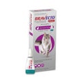 Bravecto Plus Cat Flea &amp; Worm Treatment - 6.25-12.5kg 3 Months