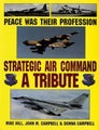Peace Was Their Profession by Mike Hill - Hardcover