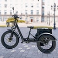 Brand New 20" 500W Motor Electric Trike Adult Tricycle 3 Wheel E Bike