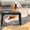 Elevated Dog Bowl