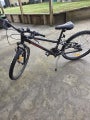 Kids Mountain Bike
