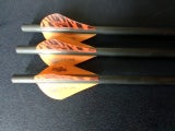 Gold tip kinetic 340grain arrows