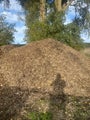 Garden Mulch