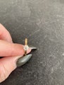 18 carat white and yellow gold solitaire diamond ring