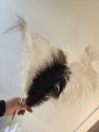 Bulk ostrich feathers