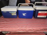 Chilly bin