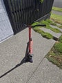 MGP Push Scooter for sale