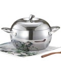 304 Stainless Steel Soup Pot - Apple Shaped Stockpot 22cm Induction