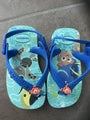 HAVAANAS toddlers