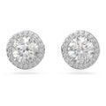 Swarovski Jewellery Constella Stud Earrings Pavé w / Rhodium Plate