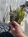 Jeep wrangler 17”tires and steel rims