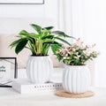 Transplastic Plant Pots Indoor ¨C Self-Irrigating Lazy Gardener?Zs Hydroponic