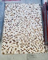 Skins Rug