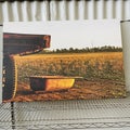 Print on canvas