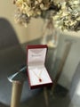 RUBY &amp; DIAMOND SLIDER PENDANT FROM PASCOES