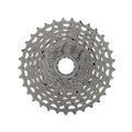Campagnolo Super Record 13 Speed Cassette