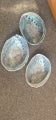 3 x paua shells