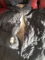Uniqlo Jacket