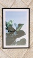 Framed Fiddle Leaf Fig Art Print – 60x90cm | Black Frame