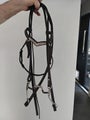 Western bridle