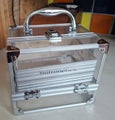 Nutrimetics Hard Case - Cosmetics Carry Clear with Metal Frame and Handle