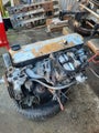 M20B20 Engine