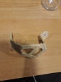 Kdx 200 rear caliper cover