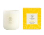 Tilley Rainbow Collection - Suede Tobacco & Amber Soy Candle