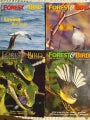 FOREST & BIRD MAGAZINES X4 BULK LOT 2004,2006,2007,2008 secondhand condition