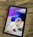 Lenovo tablet 11 inch with pen, keyboard, mouse and stand