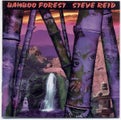 STEVE REID - BAMBOO FOREST (CD)