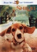 Shiloh