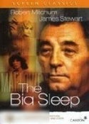 Big Sleep, The