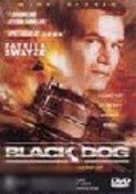 Black Dog Black Dog