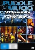 Puddle of Mudd: Striking That Familiar Chord