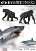 Eyewitness Volume 1: Ape / Shark