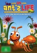 An Ant's Life An Ant's Life