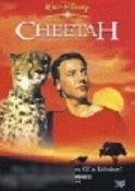 Cheetah
