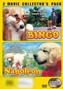 Bingo / Napoleon Bingo / Napoleon