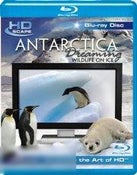 Antartica Dreaming Antartica Dreaming