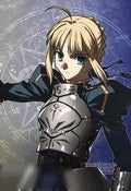 Fate / Stay Night: Collection Fate / Stay Night: Collection