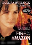Fire on the Amazon