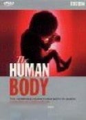 Human Body, The