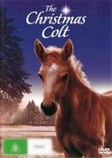 The Christmas Colt