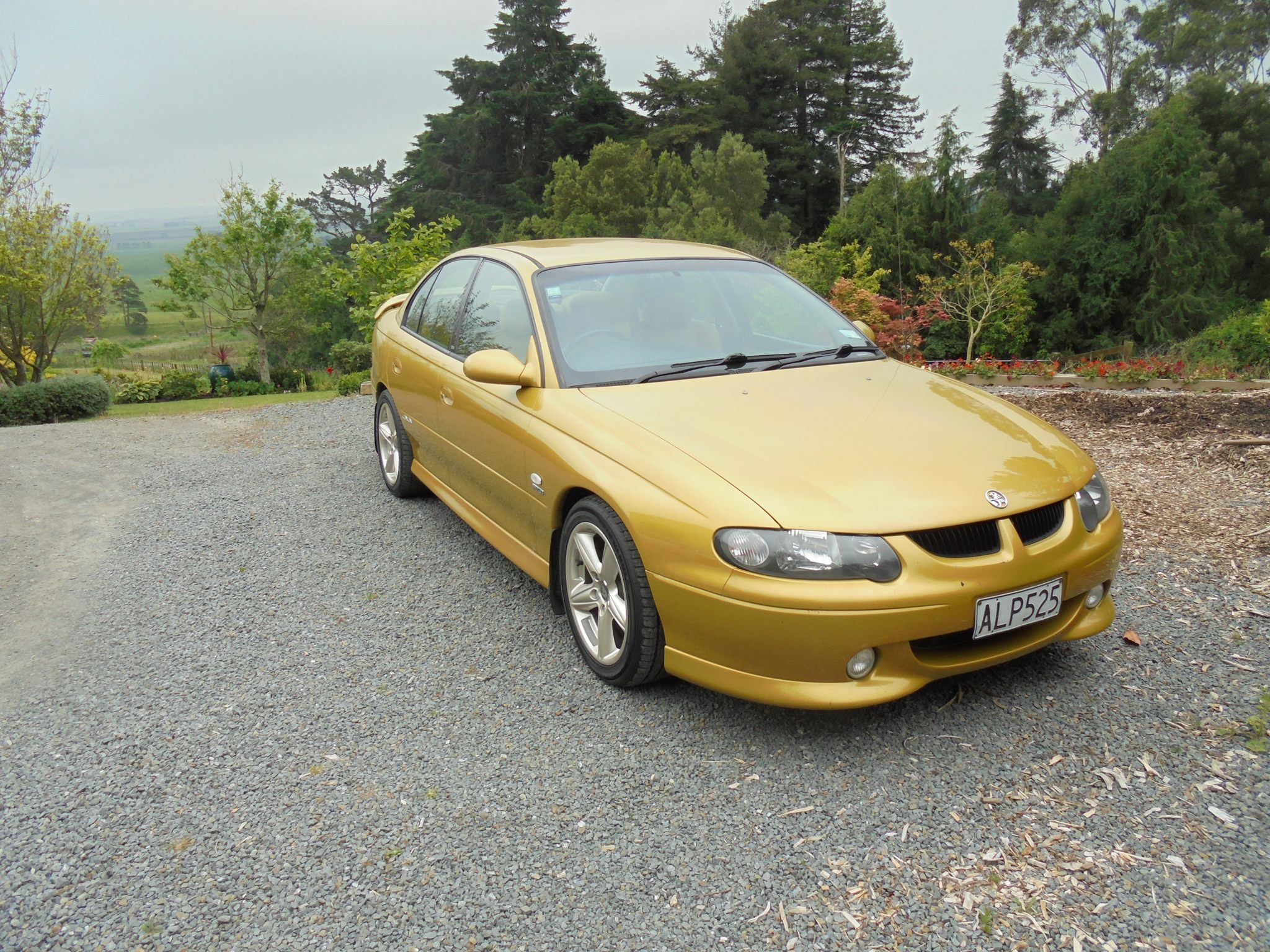 2002 Holden Commodore Ss V8 Trade Me