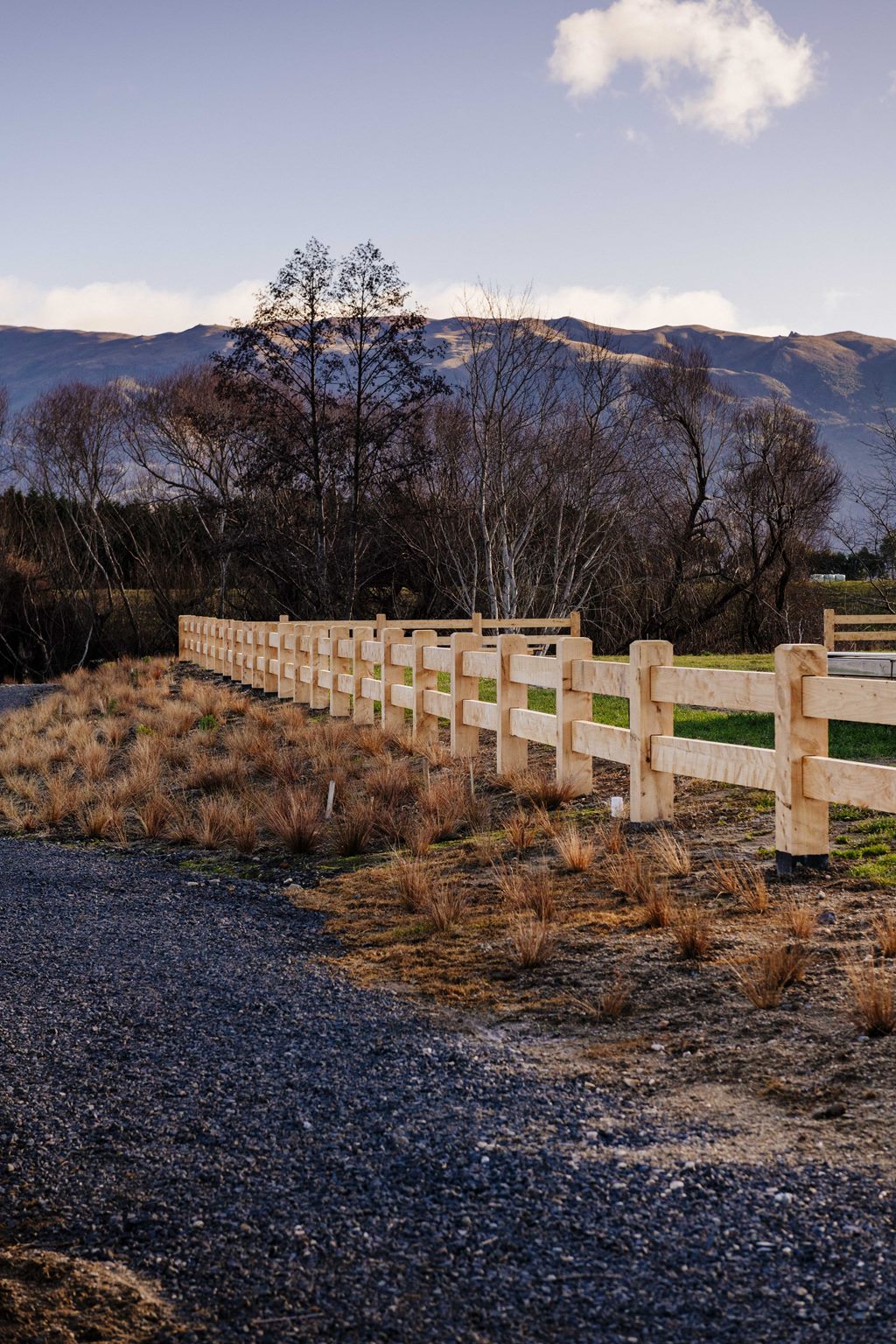 Macrocarpa Timber, Firewood, Post & Rail Fencing BidBud